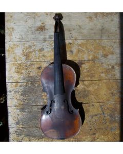 Violin of exceptional beauty PETRUS JACOBUS RUGGERIUS