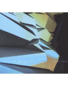 Dennis Young - Synthesis LP