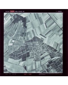 Wolfsheim - 55578 CD