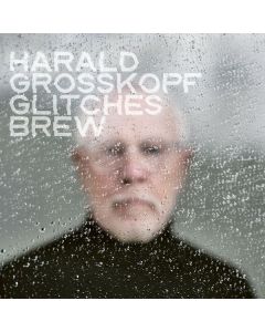 Harald Grosskopf - Glitches Brew CD