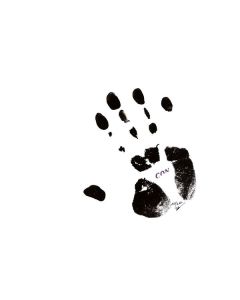 Conrad Schnitzler - Con 84 CD