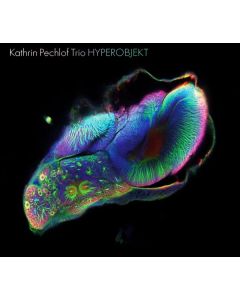 Kathrin Pechlof - Hyperobjekt CD
