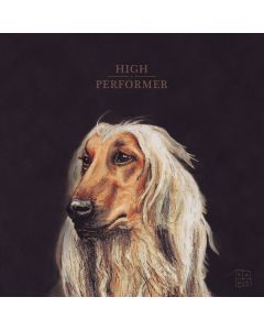 5K HD - High Performer LP