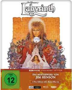 Die Reise ins Labyrinth (4K Ultra HD Blu-ra & Blu-ray im Steelbook) UHD
