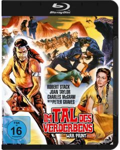 Im Tal des Verderbens (Blu-ray) BR