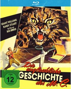 Die unglaubliche Geschichte des Mr. C (Blu-ray) BR