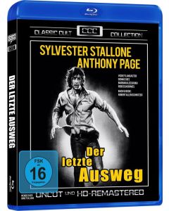 Der letzte Ausweg (Blu-ray) BR