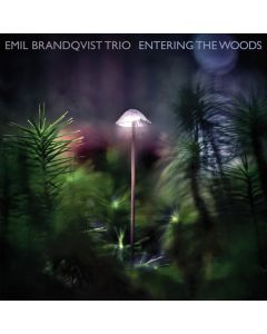 Emil Brandqvist - Entering The Woods (180g) LP