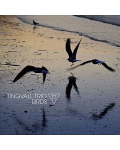 Tingvall Trio - Birds CD