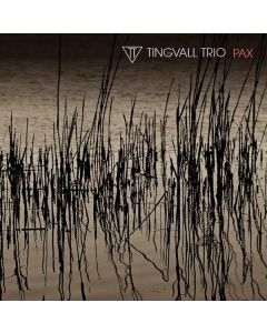 Tingvall Trio - Pax CD