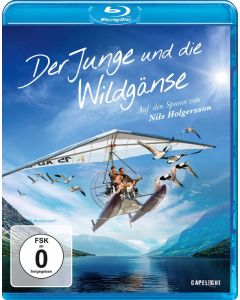 Der Junge und die Wildgänse (Blu-ray) BR