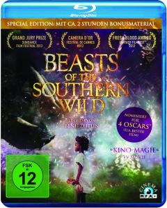 Beasts of the Southern Wild (Blu-ray) BR