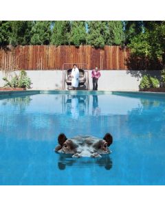 Sparks - Hippopotamus LP