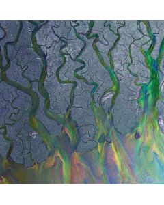 alt-J - An Awesome Wave (White Vinyl) LP