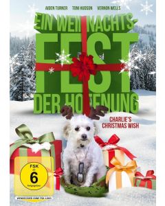 Ein Weihnachtsfest der Hoffnung DVD