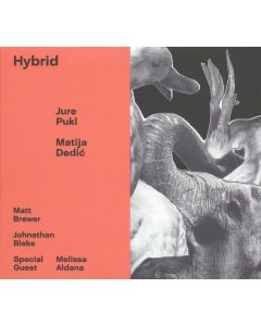 Jure Pukl & Matija Dedic - Hybrid CD
