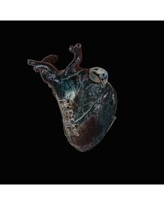 Seamus Blake - Guardians Of The Heart Machine CD