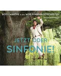 Bodo Wartke - Jetzt oder Sinfonie! CD