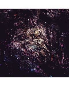 Psychonaut - Unfold The God Man CD