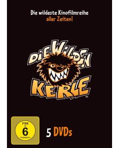 Die wilden Kerle 1-5 DVD