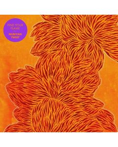 Nubiyan Twist - Find Your Flame CD