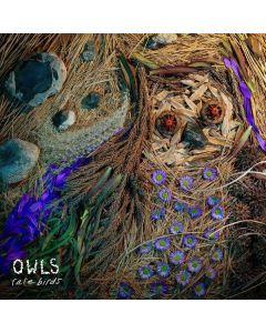 Owls - Rare Birds CD