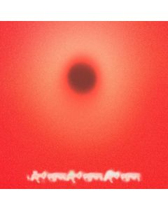 YHWH Nailgun - 45 Pounds LP