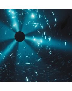 Laurel Halo - Midnight Zone (Original Soundtrack) LP