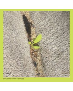 Booker Stardrum - Close-Up On The Outside LP