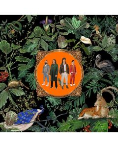 Don Broco - Amazing Things (Slipcase) CD