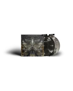 Architects (UK) - Ruin (Limited Edition) (Picture Disc) LP