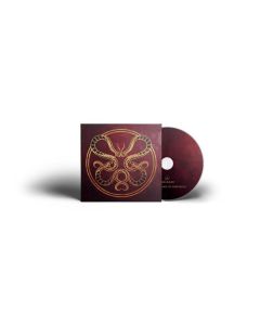 Vicious Rain - The Anatomy Of Surviving CD