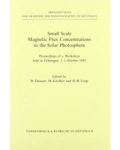 Small Scale Magnetic Flux Concentrations in the Solar Photosphere