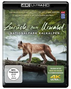 Zurück zum Urwald - Nationalpark Kalkalpen (Ultra HD Blu-ray) UHD