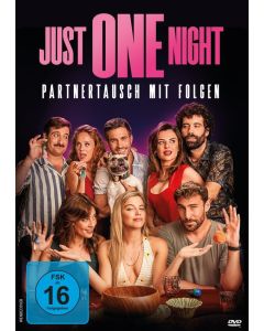 Just One Night - Partnertausch mit Folgen DVD