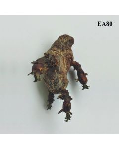 EA80 - Single LP