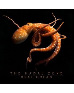 Opal Ocean - The Hadal Zone CD