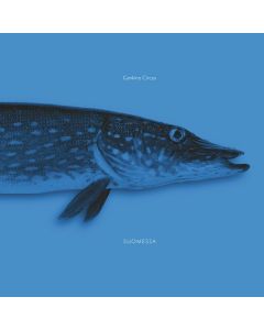 Gankino Circus - Suomessa CD