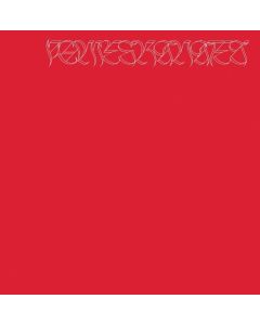 Nicolas Jaar - Pomegranates (180g) LP