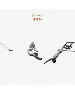 A Bunch Of Birds - A Bunch Of Birds LP