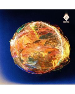 Woods Of Birnam - Solaris CD