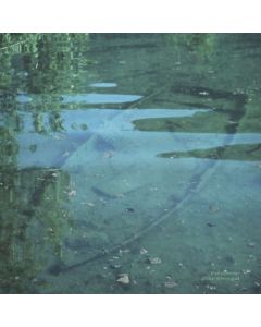 Marian Menge - All That Litter Is Gold LP