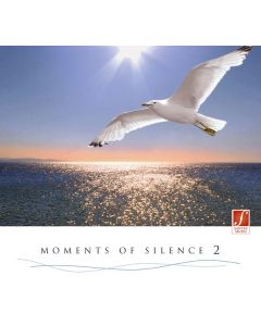 Santec Music Orchestra - Moments Of Silence 2 CD