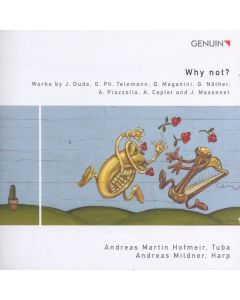 Andreas Martin Hofmeir & Andreas Mildner - Why not? CD
