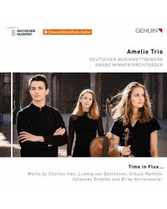 Amelio Trio - Time in Flux ... CD
