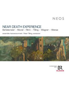 ensemble risonanze erranti - Near Death Experience CD