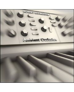 Robert Schroeder - Ambient Occlusion CD