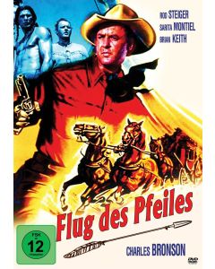 Flug des Pfeiles DVD