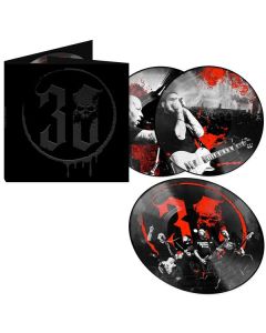 KrawallBrüder - 30 Jahre Live (Limited Edition) (Picture Disc) LP