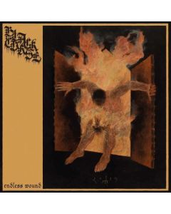 Black Curse - Endless Wound CD